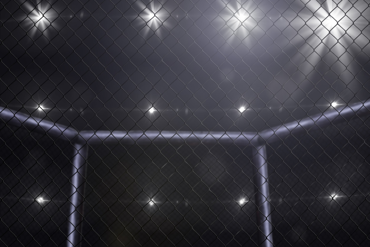 A Challenger Emerges: Singapore MMA Upstart Squares Up Against UFC