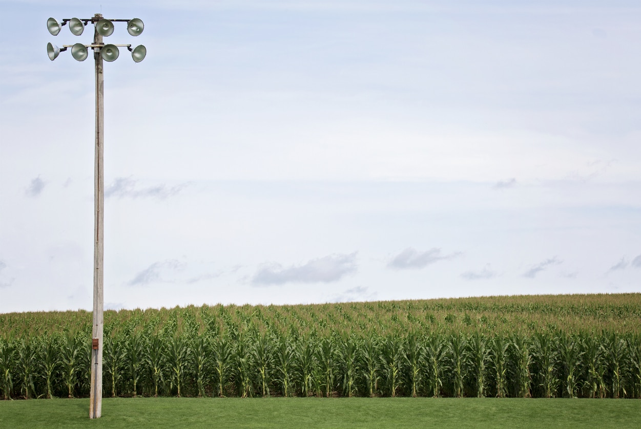 MLB’s ‘Field of Dreams’ Game Draws Most Fox Viewers in Sixteen Years