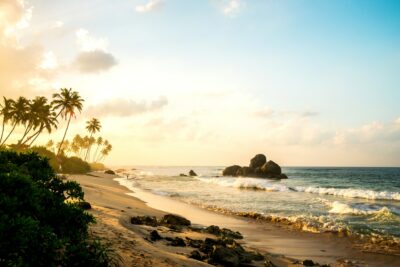 Sri Lanka is on the Brink of Default, Say Analysts