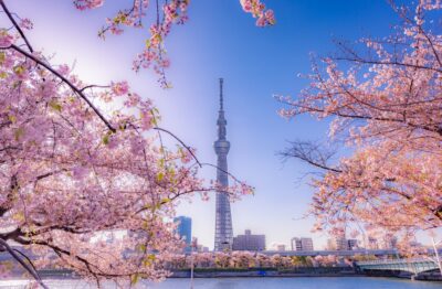 Bank of Japan Begins to Break From its Ultra-loose Fiscal Policy