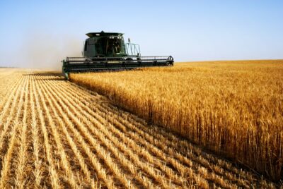 Farm Strong: Understanding Agriculture as an Investment