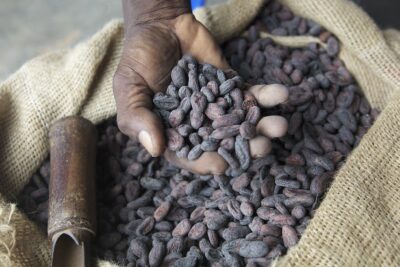 British Startup is Breaking the Cocoa Supply Chain