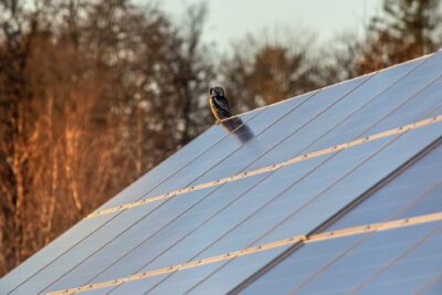 Tesla Solar Roofs Aren’t Doing Nearly As Well As They’d Hoped