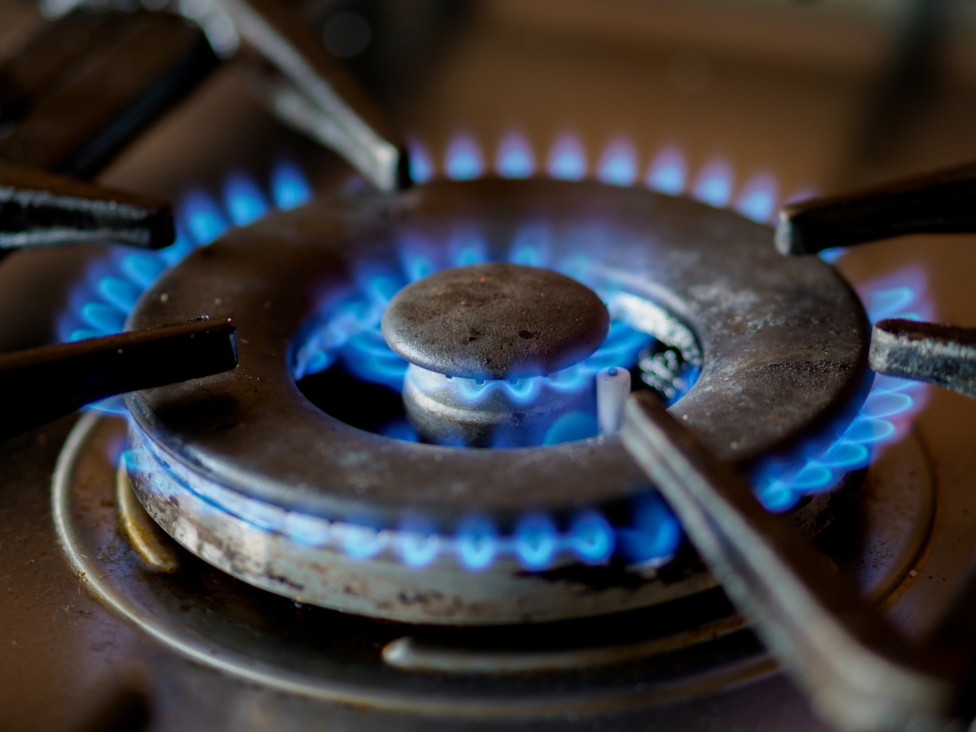 Utilities Lobby to Protect Gas Stoves, But It’s Not About Appliances