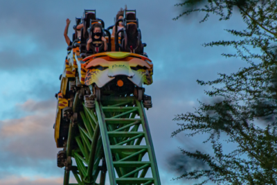 Surviving the Roller-Coaster Ride that Is the U.S. Economy