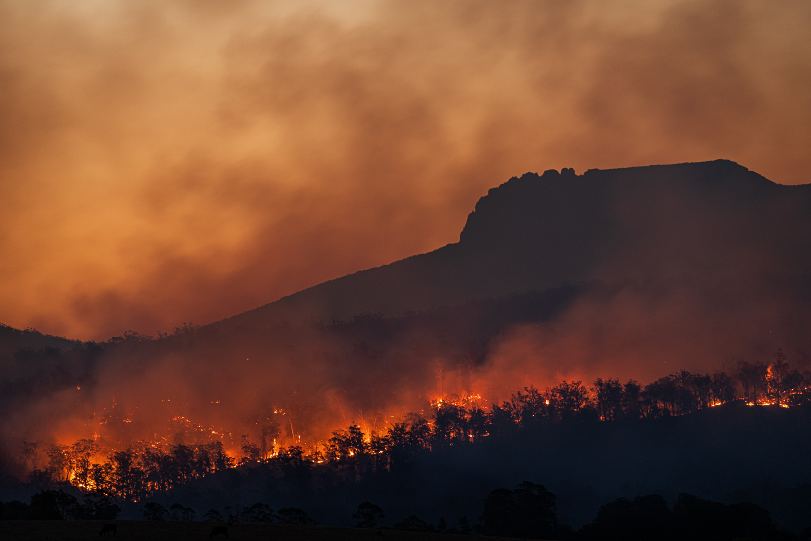 The Cost of Climate Change Is Adding Up