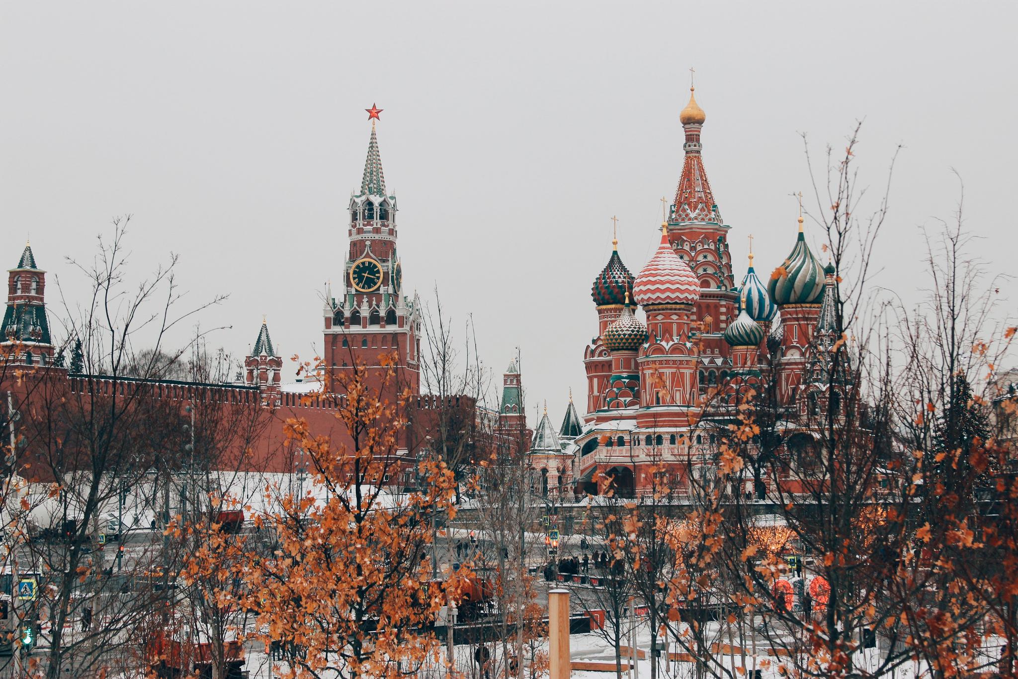 (Photo by Michael Parulava on Unsplash)