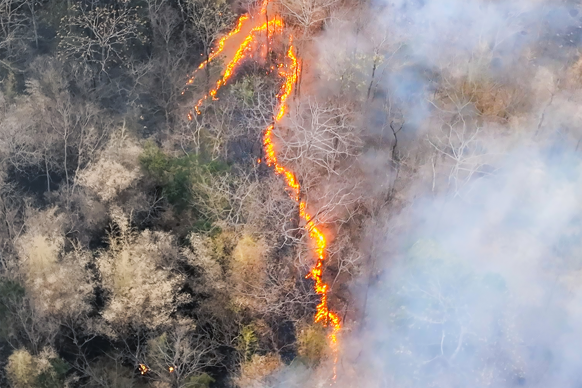 El Niño Ravages Land and Sea, Slamming Markets