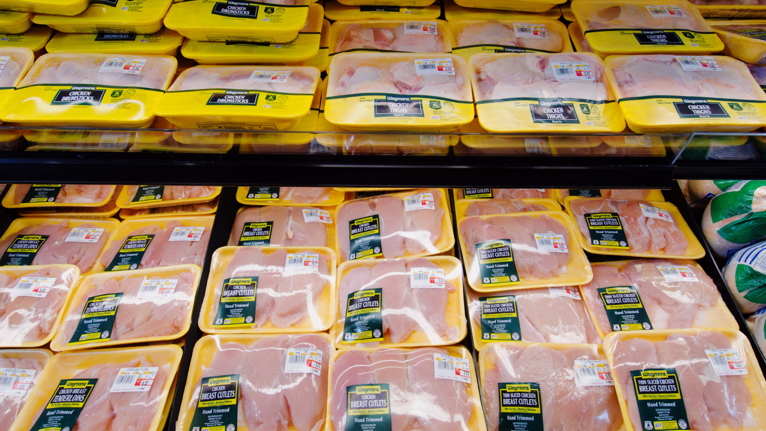 Green Fuel Boom May Bring Down Chicken Prices The Daily Upside