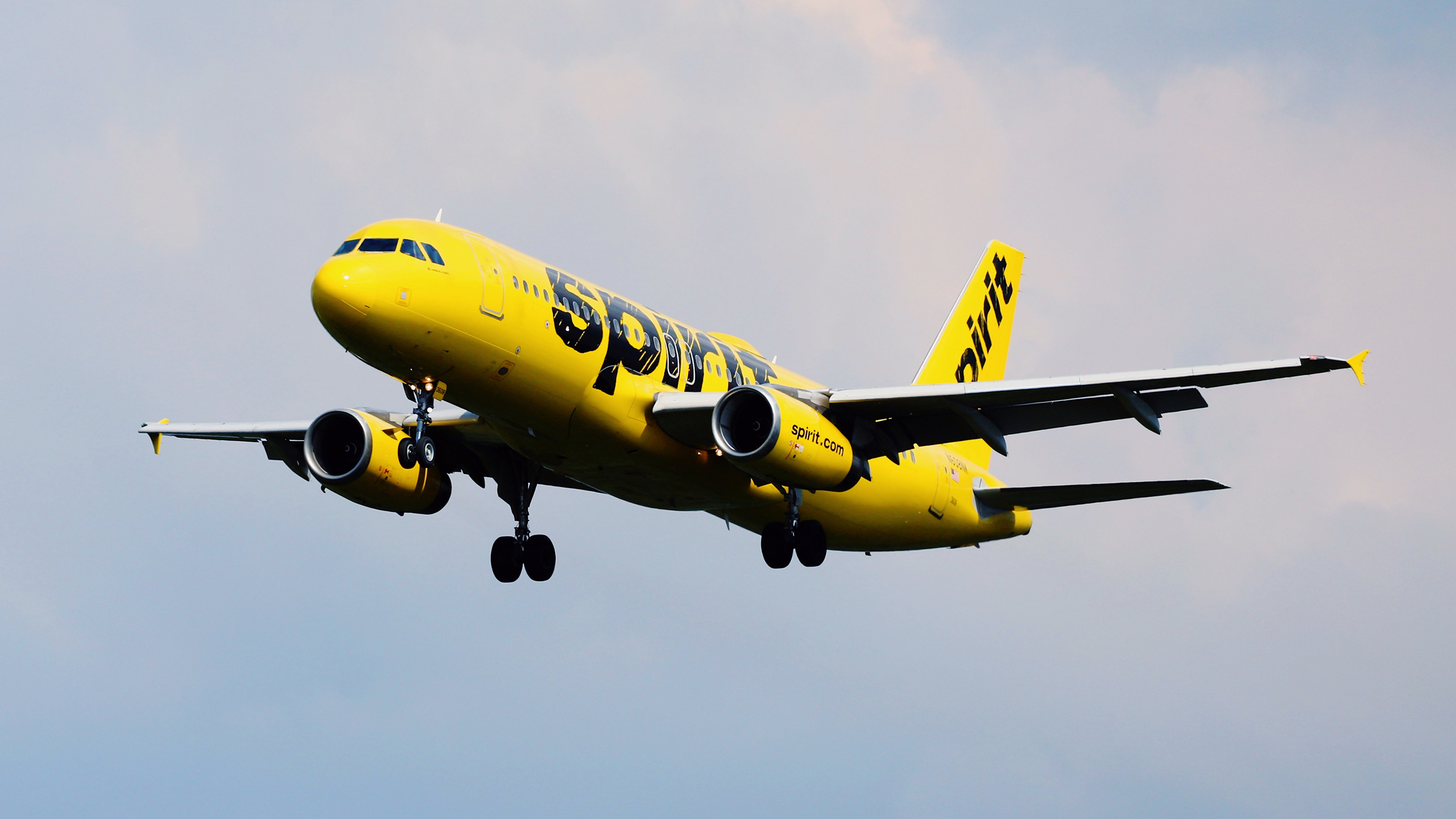 Photo of Spirit Airlines airplane
