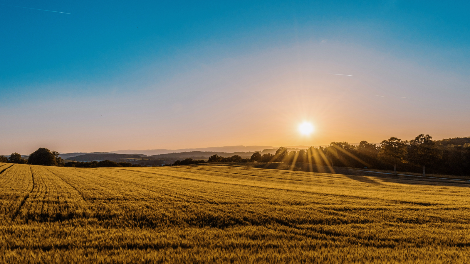 Investment Groups Are Scoring Big on US Farmland