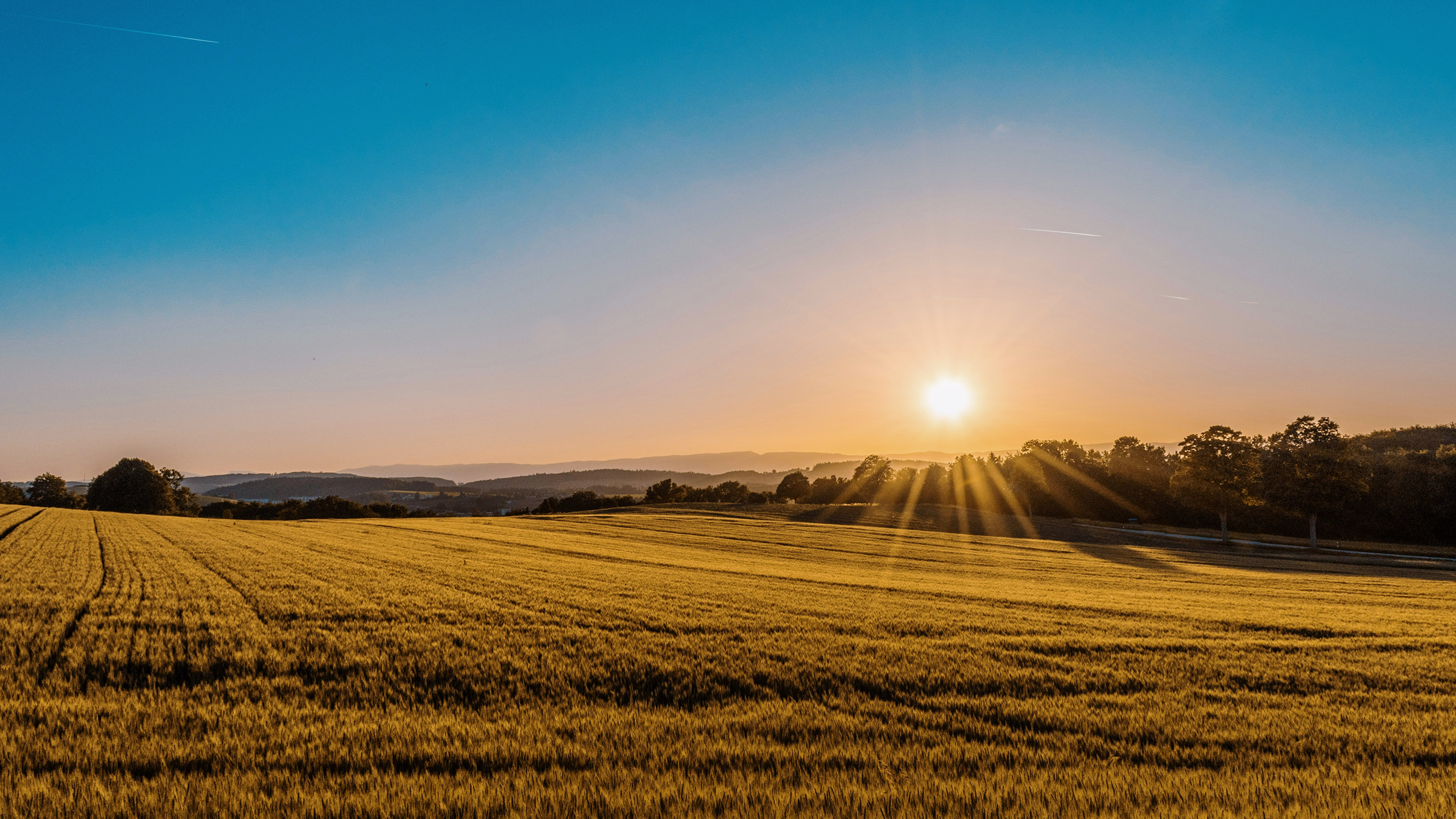 Landscape photo of farmland