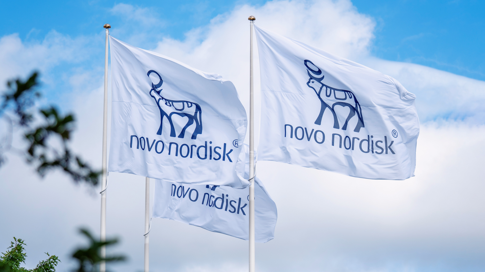 Novo Nordisk May Have Found an Even Better Anti-Obesity Drug