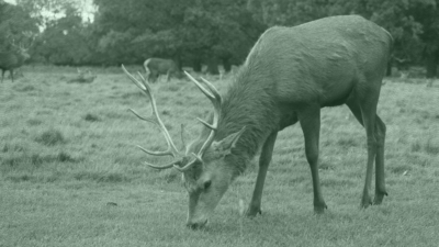 The Worst Stag Party Ever?