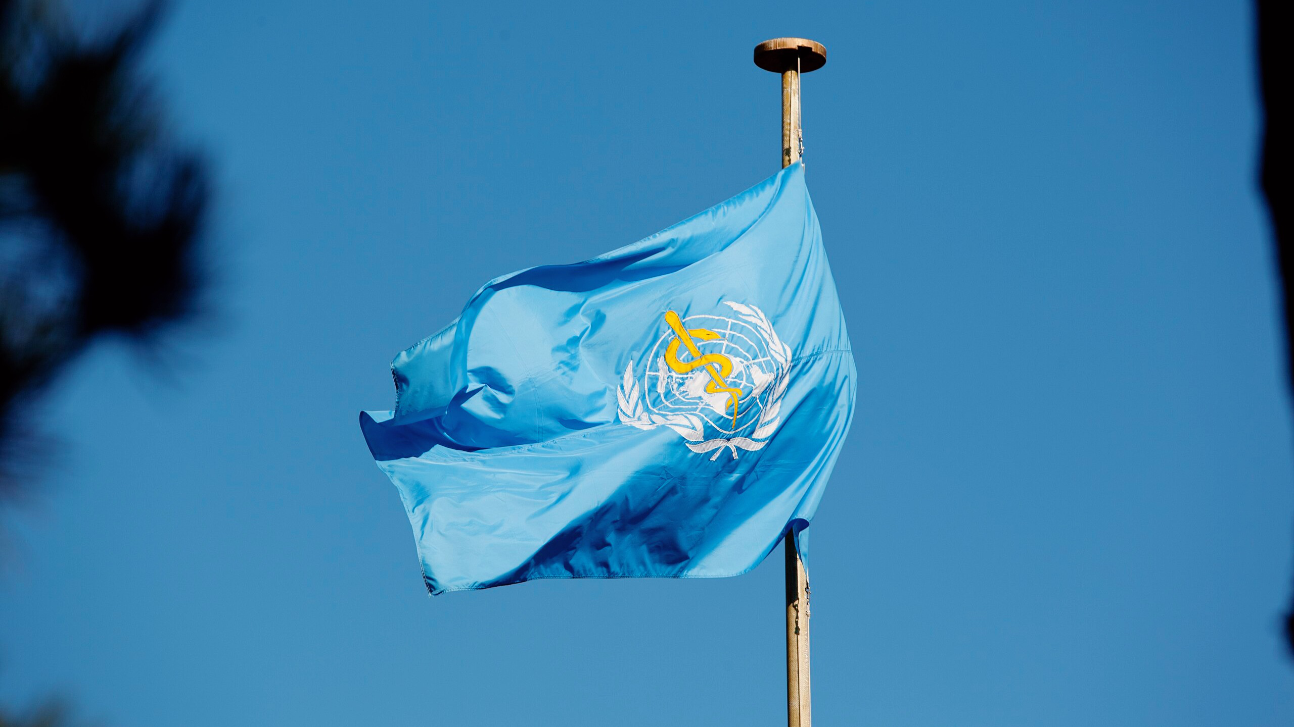 Photo of the World Health Organization flag