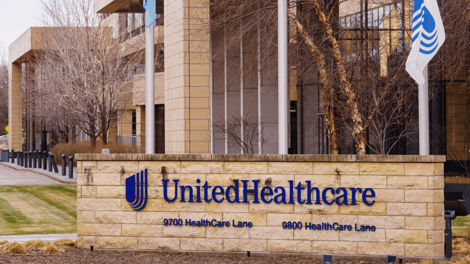 UnitedHealth CEO Replaced by Predecessor as Stock Plummets