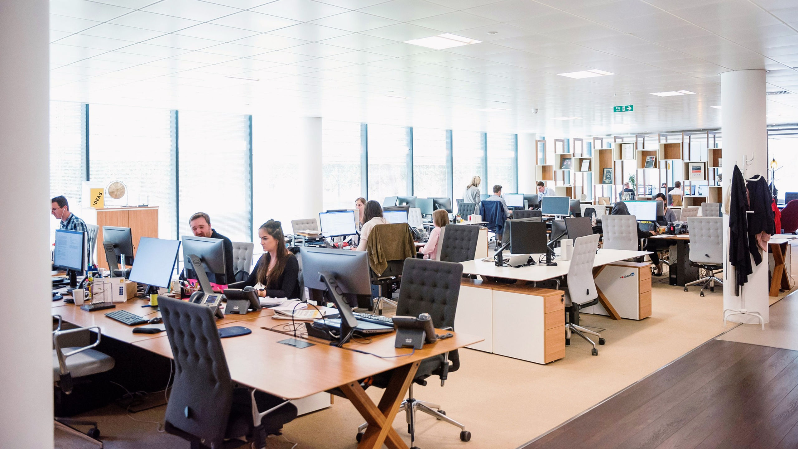 Photo of a busy office full of working employees