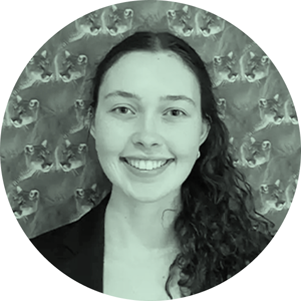 Calamos Launches First Autocallable ETF - The Daily Upside