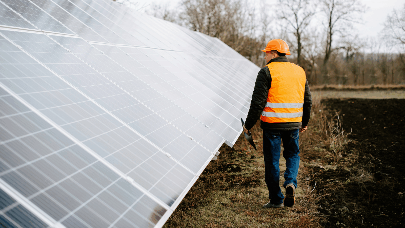 Solar Companies Burned by Clean-Energy Cuts