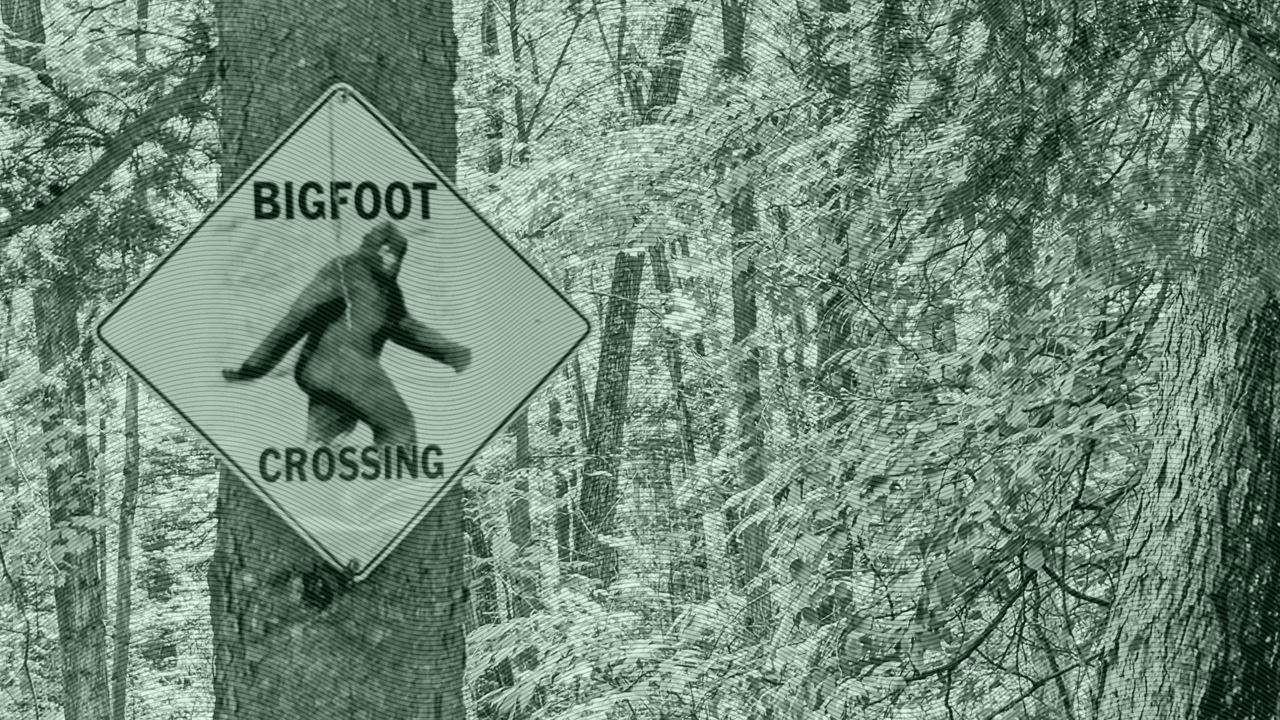 Photo of a Bigfoot Crossing sign