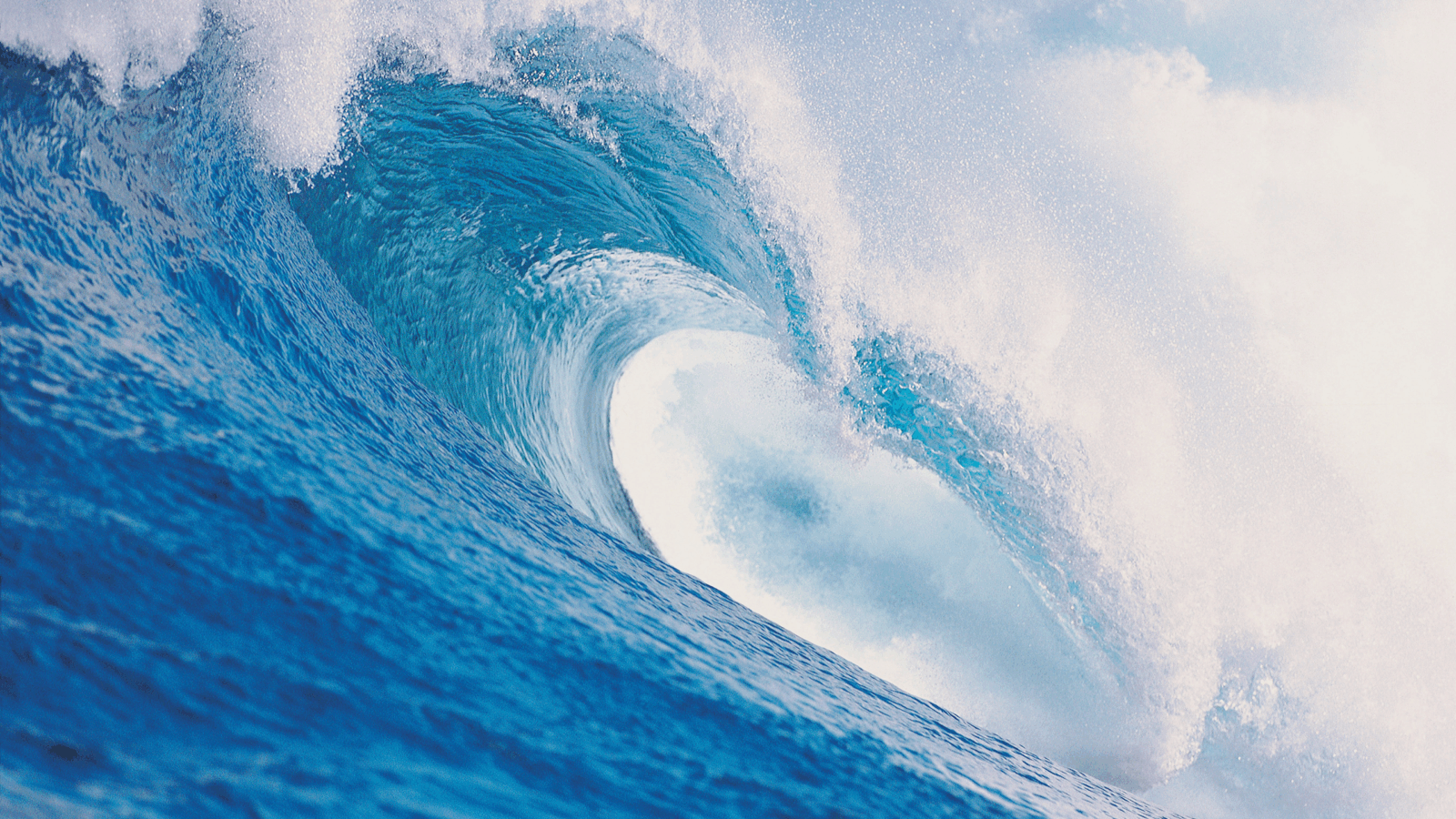 Single-Stock ETF Market Swells With Firehose of New Products