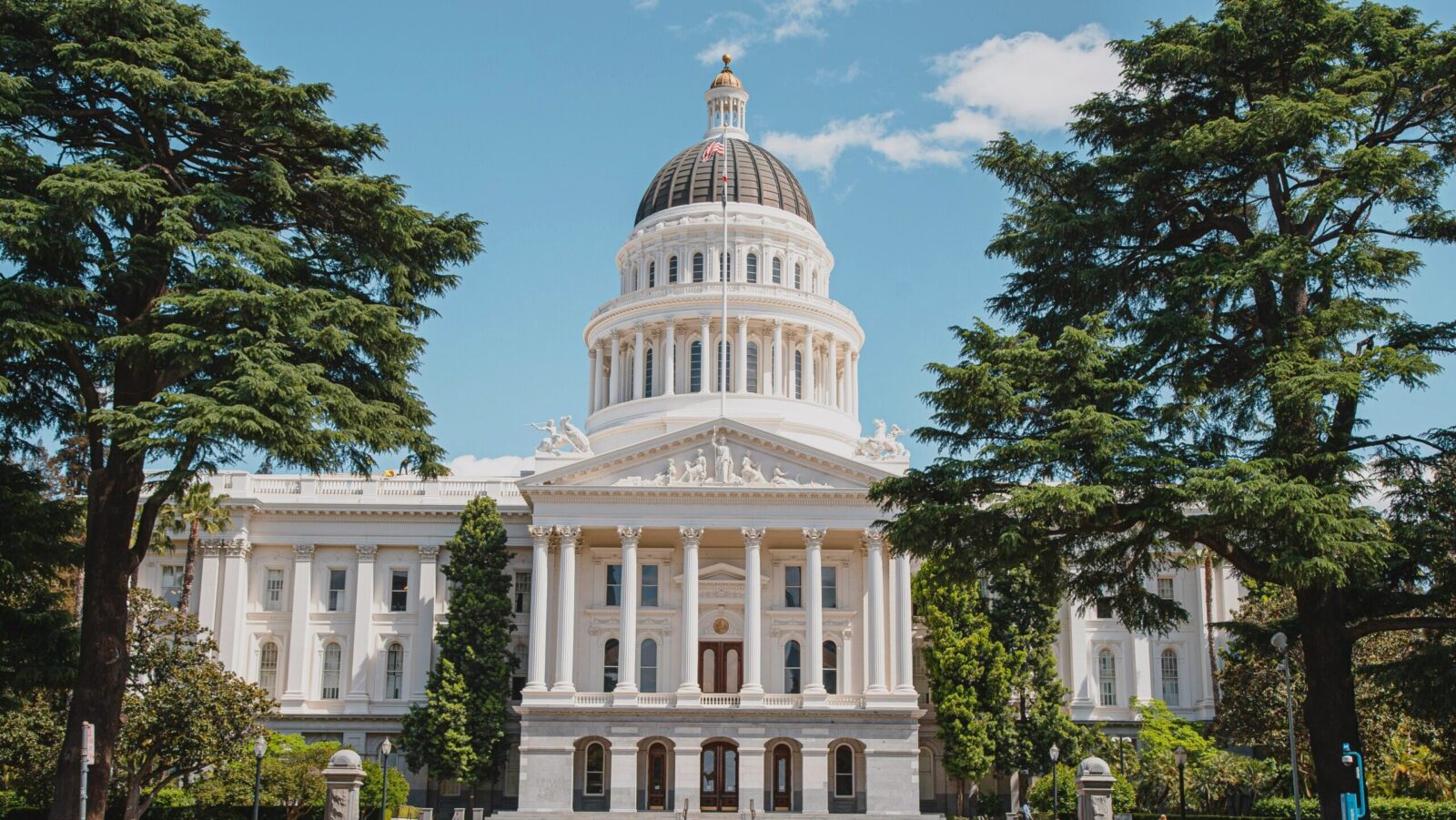 States Take the Lead in Regulating American AI Development
