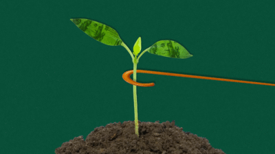 From Greenwashing to Greenhushing: The Rise of ‘Anti-ESG’ ETFs