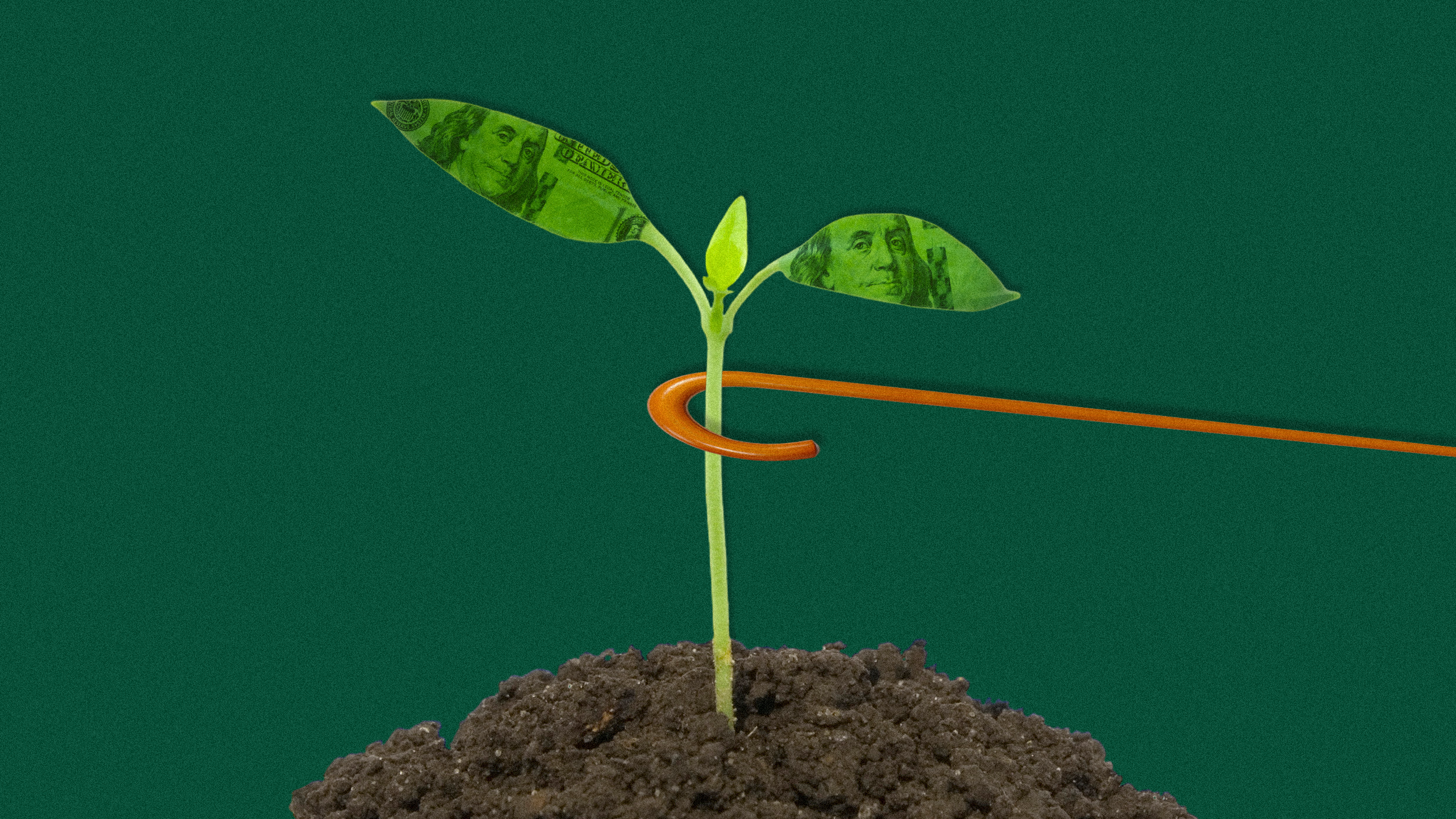 From Greenwashing to Greenhushing: The Rise of ‘Anti-ESG’ ETFs
