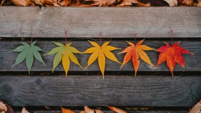Are Cyclical ETFs Worth the Boom and Bust?