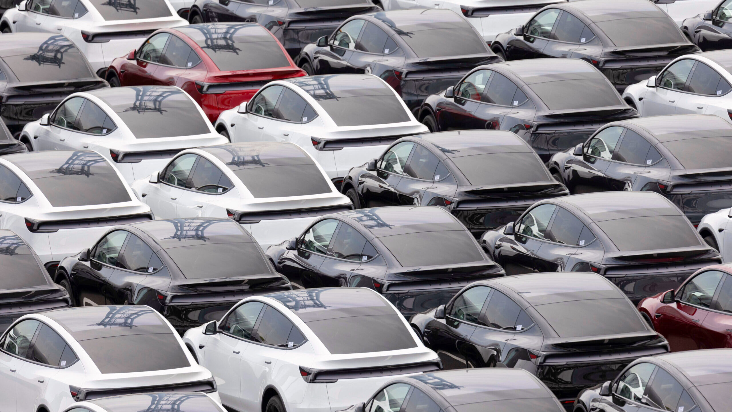 Image of a lot of Tesla cars