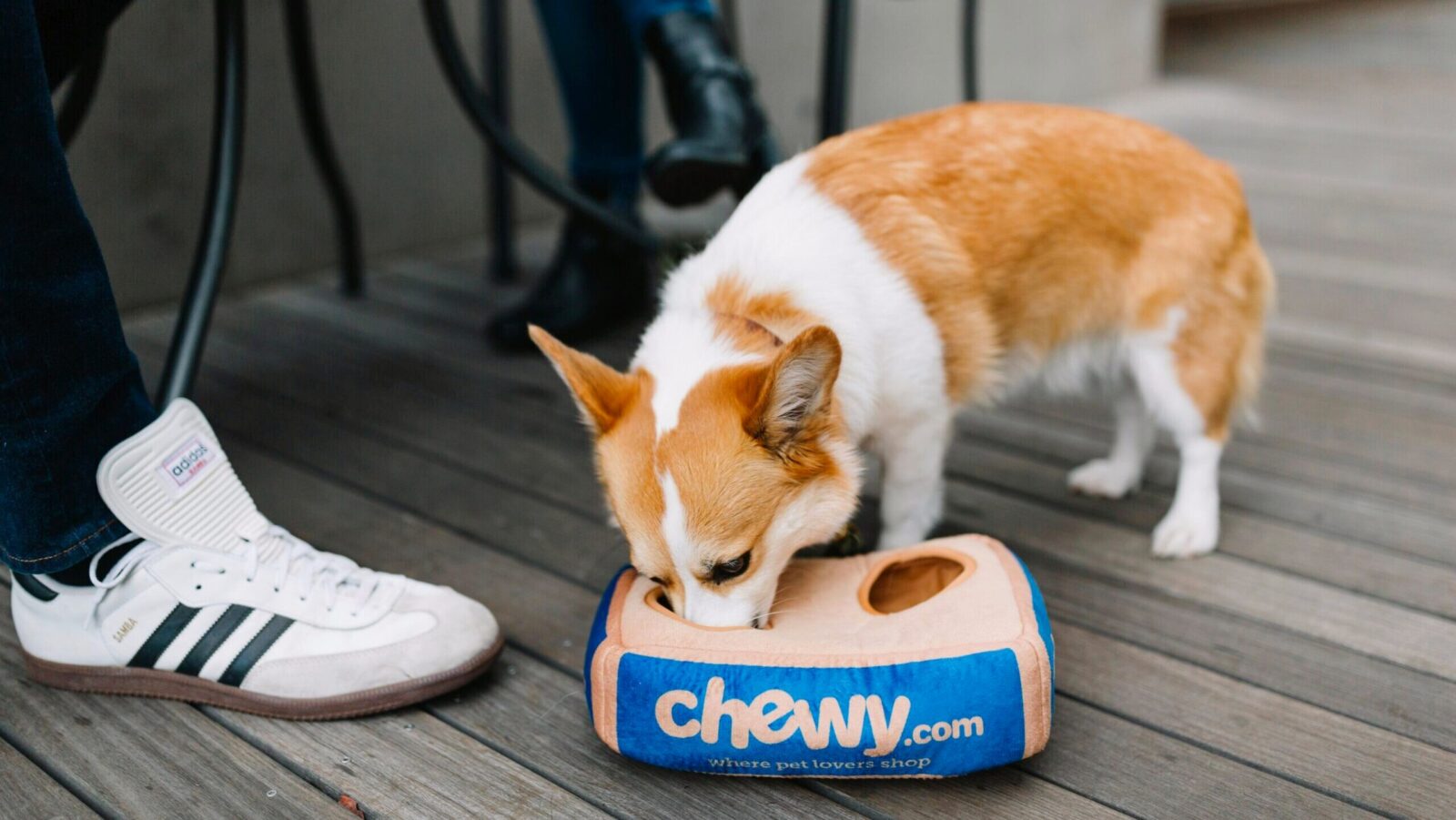 Short-sighted Investors Chew Up Chewy