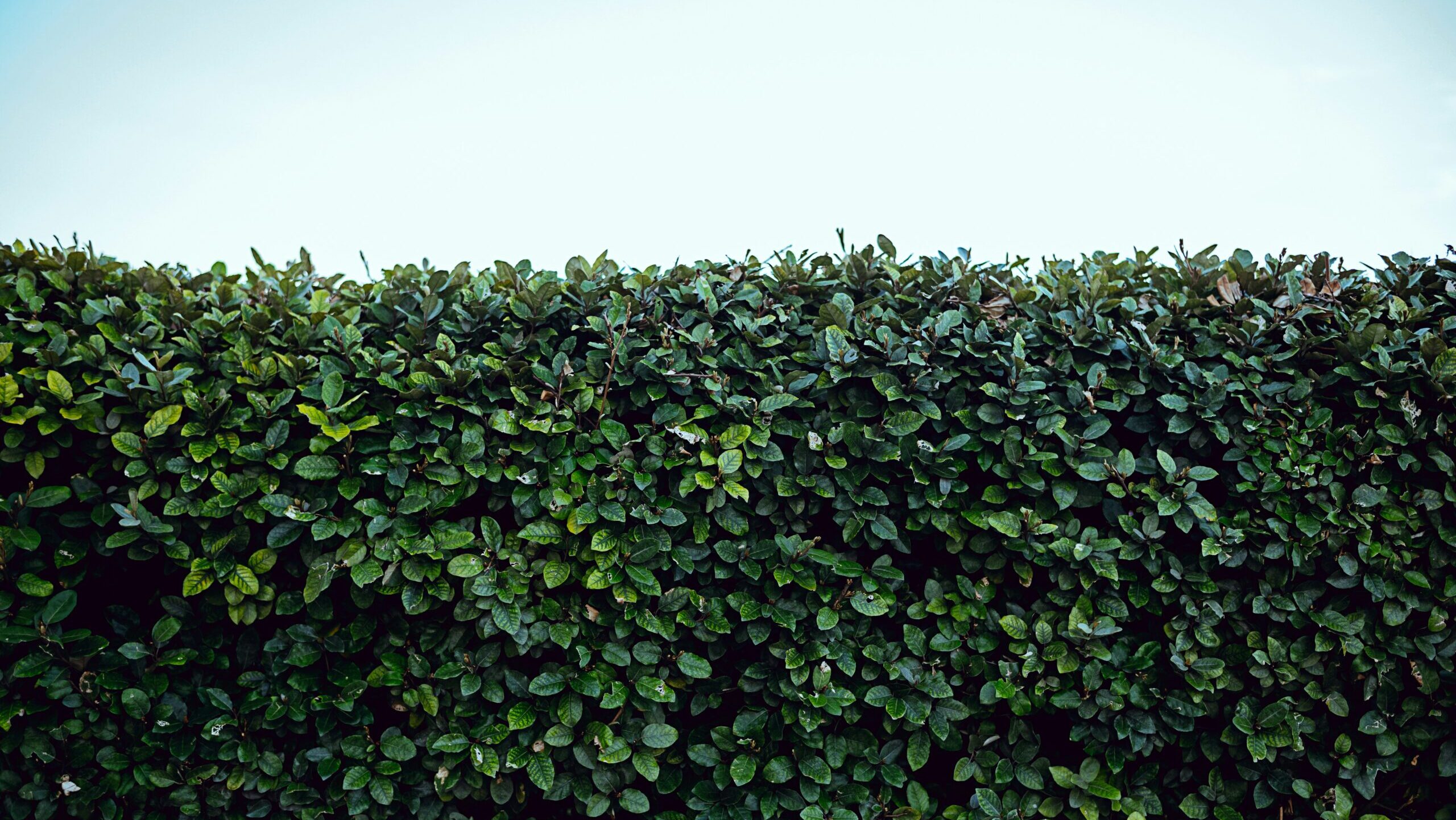 Why Hedge Funds Are Launching Their Own ETFs