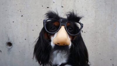 DWS Transforms $2.5M ESG ETF into Something Much Different
