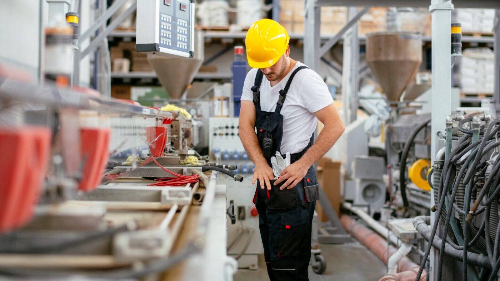 Economists Bullish on US Growth Despite Rising Inflation, Shrinking Job Market