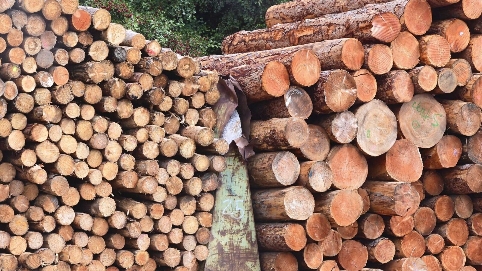 Lumber Giants Intertwine in $7 Billion Deal