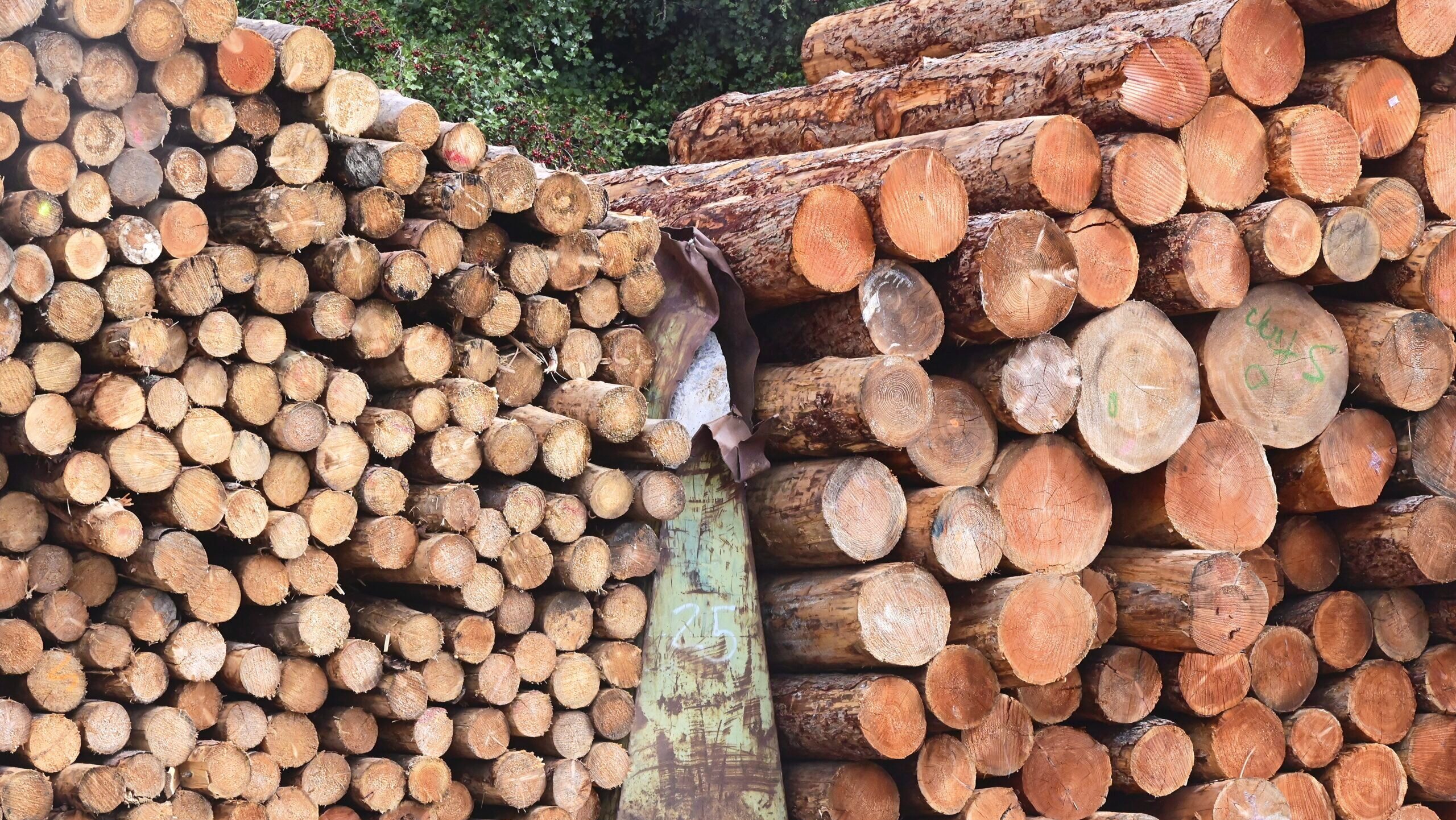 Lumber Giants Intertwine in $7 Billion Deal