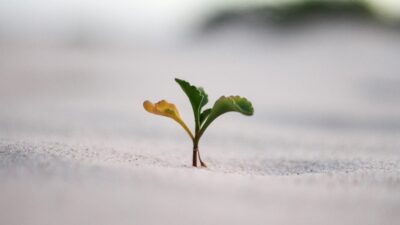 Why Private Equity Is Making Small-Cap Investing Harder