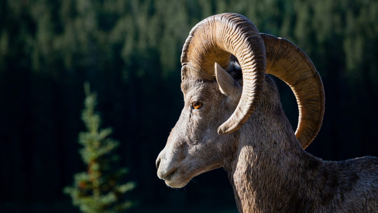 T. Rowe Price Wades Into the Crypto Arena