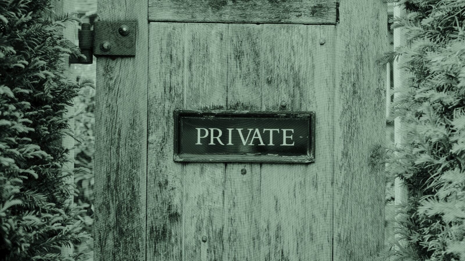 Private Assets in 401(k)s Add Modest Value: Morningstar