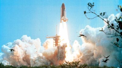 ETF Sales Rocket Upward in October