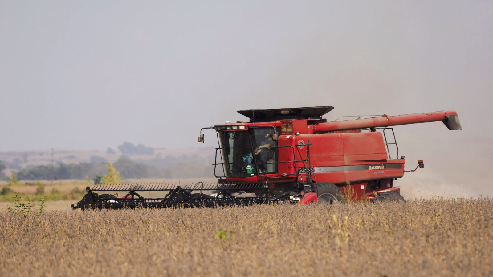 China Reopening to US Soybean Imports