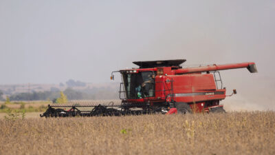 China Reopening to US Soybean Imports