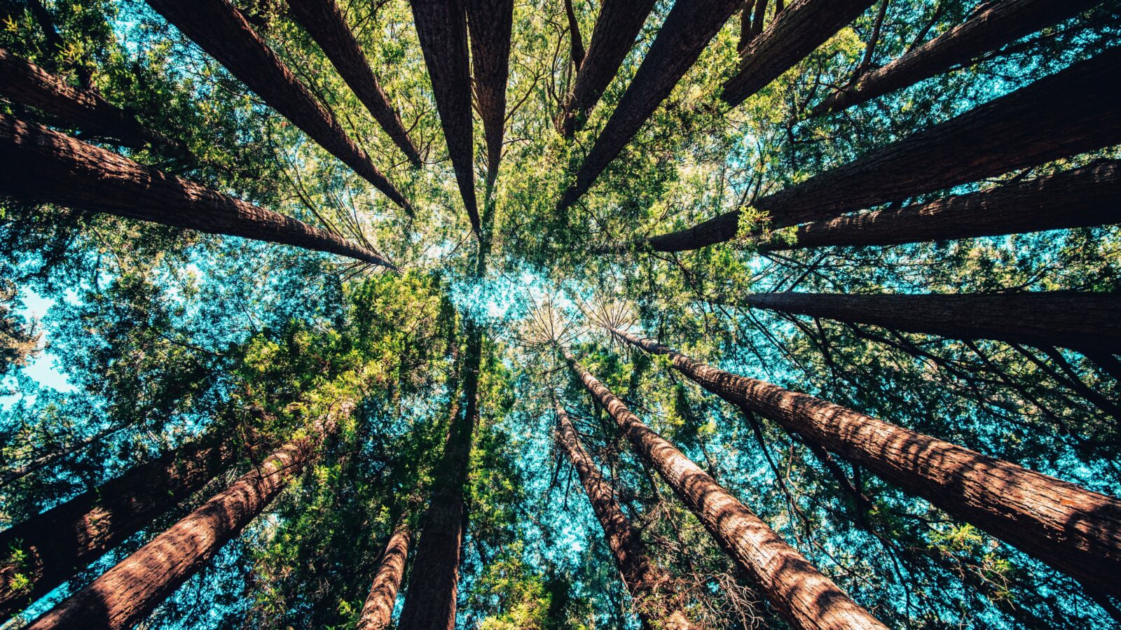 Why ETF Assets Are Growing Faster Than Experts Predicted