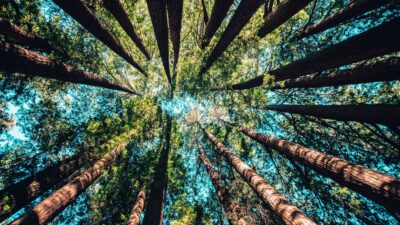 Why ETF Assets Are Growing Faster Than Experts Predicted