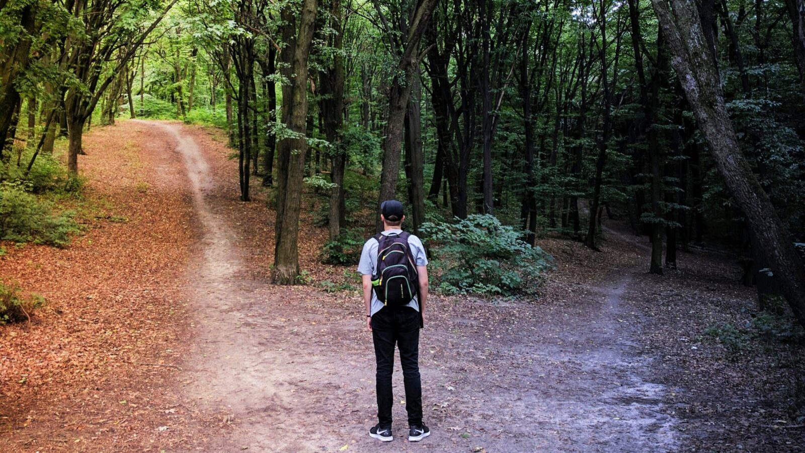 Model Portfolios Decide Which ETFs Succeed. That Might Not Be a Good Thing