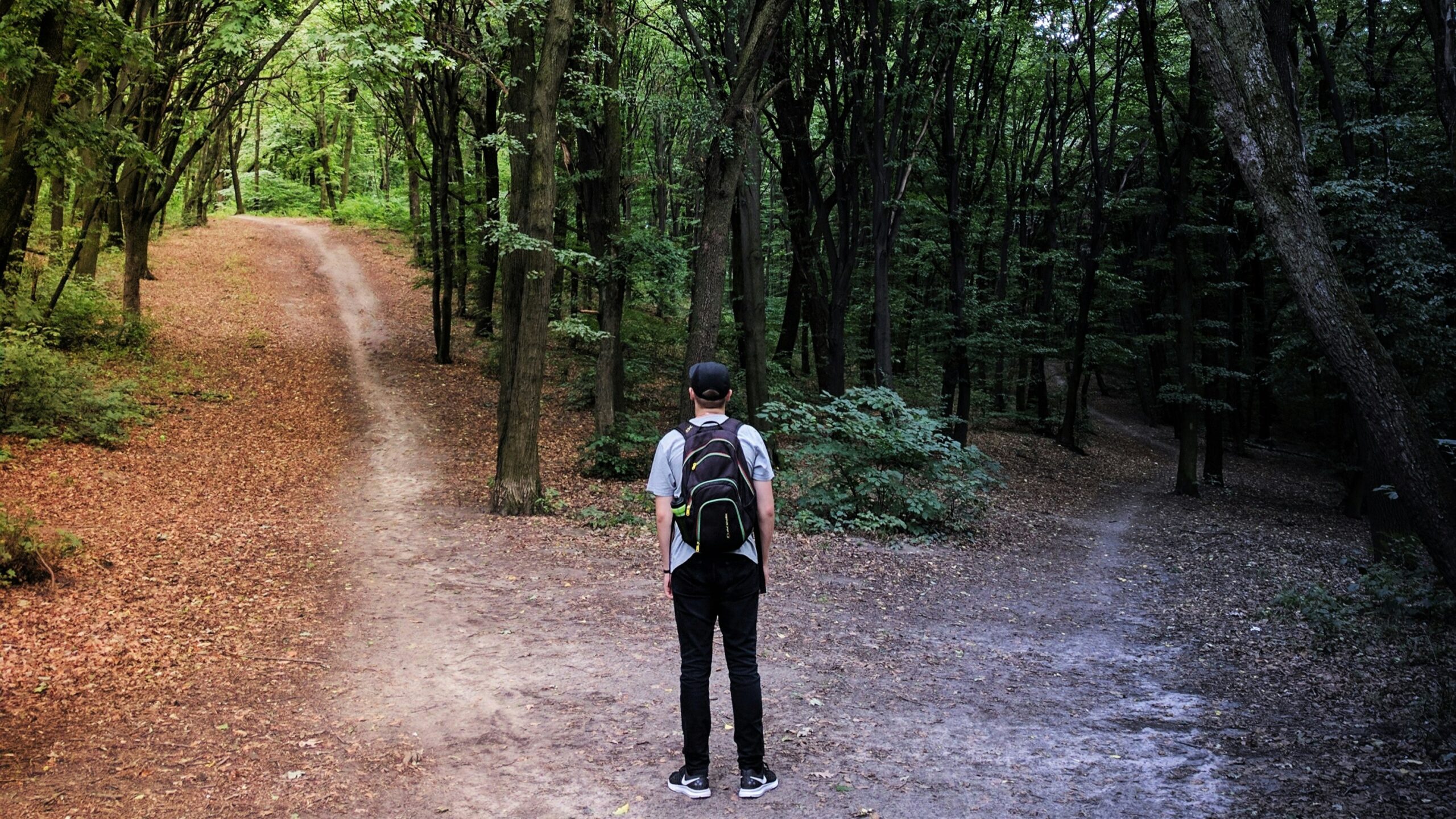 Model Portfolios Decide Which ETFs Succeed. That Might Not Be a Good Thing