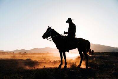 Yeehaw: Trump’s Truth Social Funds to Acquire God Bless America ETF (YALL)