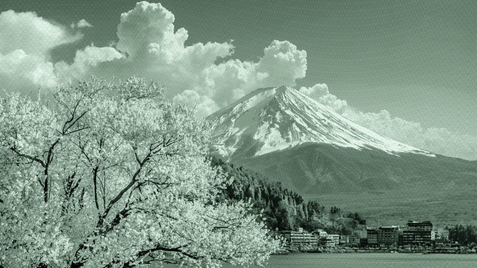 International Equities Performed Last Year. But What About 2026?