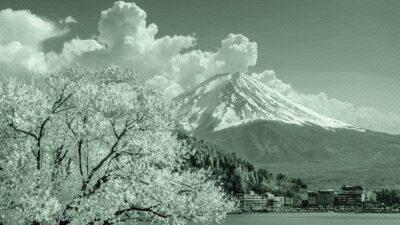 International Equities Performed Last Year. But What About 2026?