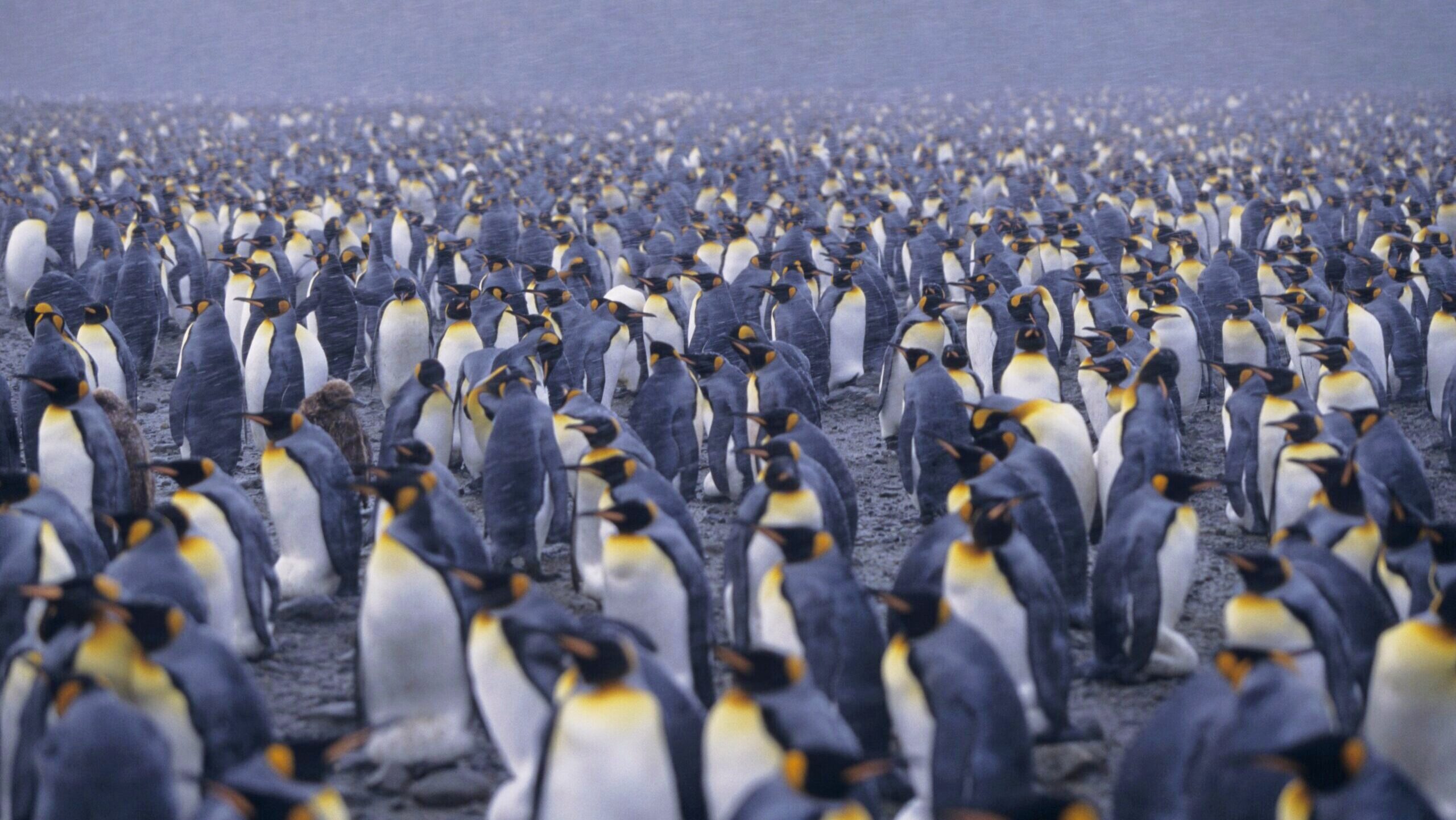 Where Crypto ETFs Stand in 2026